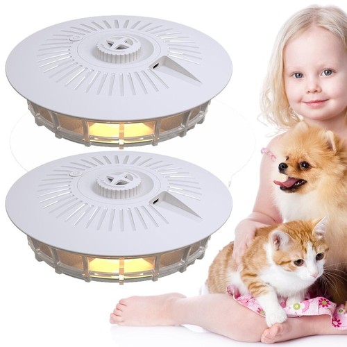Electric flea trap lamp - flea, light