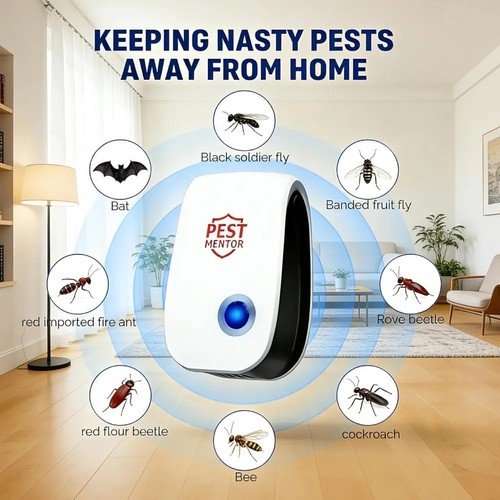 Mosquito fly bug insect - mosquito,