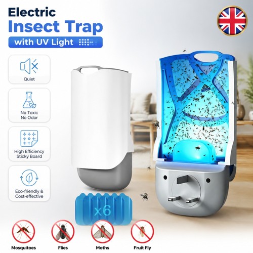 Electric bug zapper lamp - bug,