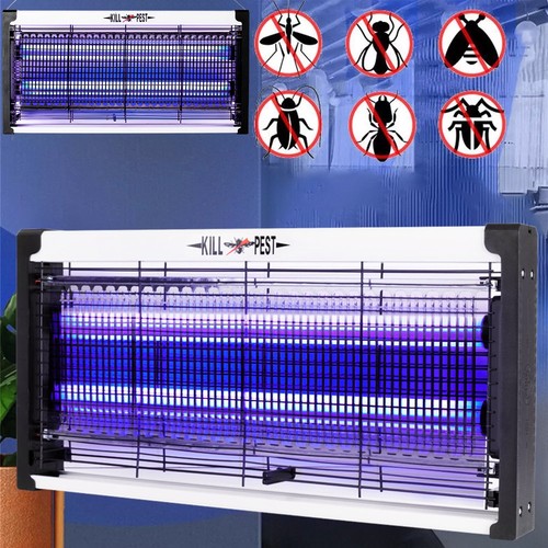 Bug zapper electric insect - insect, fly