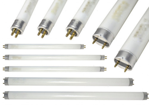 Fly insect killer bulb lamps - insect,